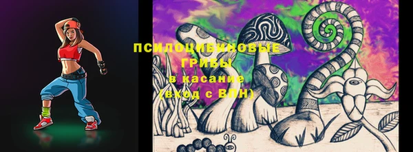 apvp Балахна